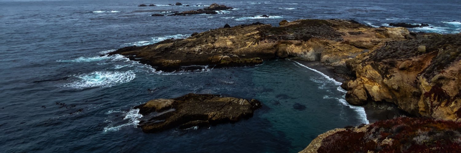 Scott Ledbetter banner