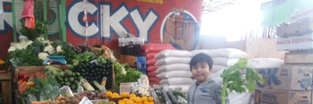 Iván 🇨🇱🌳🇨🇱 banner