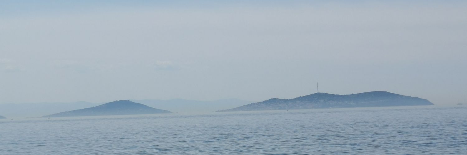 cnrsrkn's profile banner image