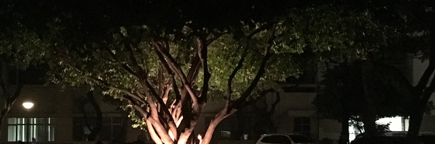 Lykamdl13's profile banner image