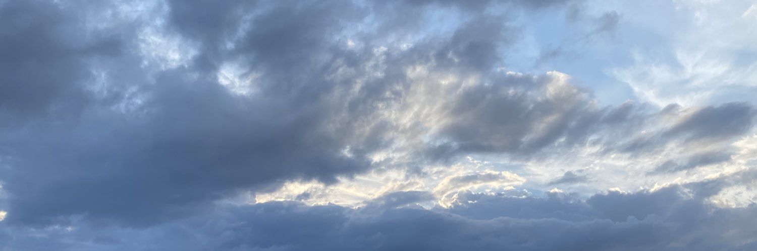 TLinzzzz's profile banner image