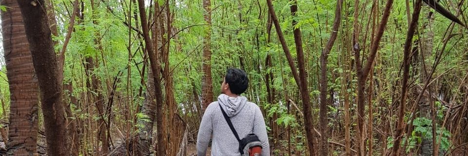 bimbimdwi's profile banner image