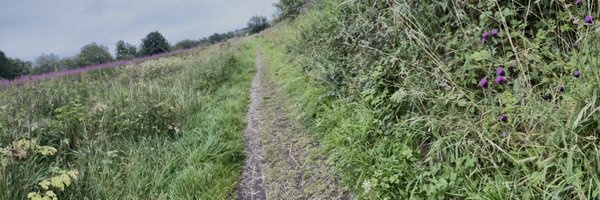 alittledrawn Profile Banner