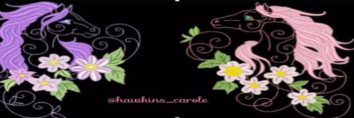 Carole Hawkins's banner