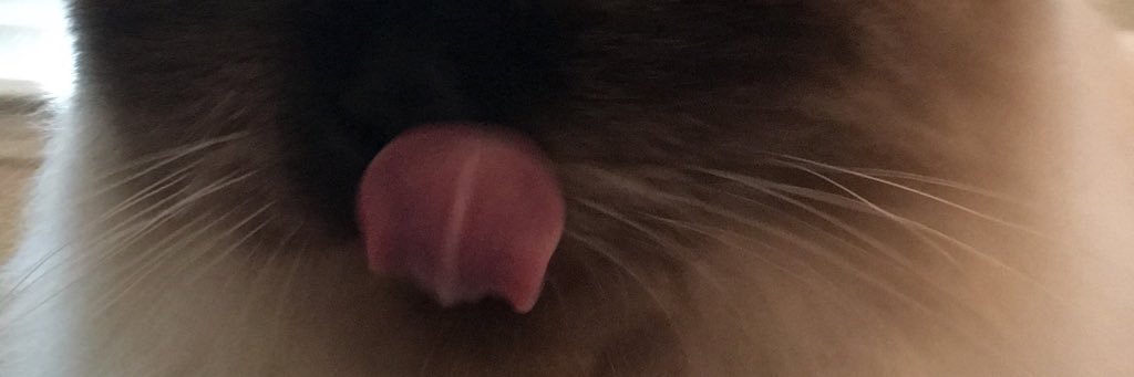 JackieBessinger's profile banner image