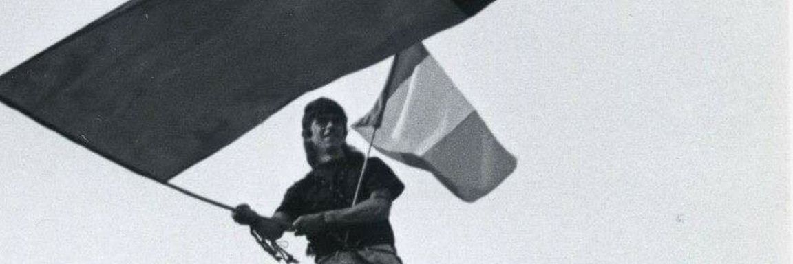 Connaire Harrison banner
