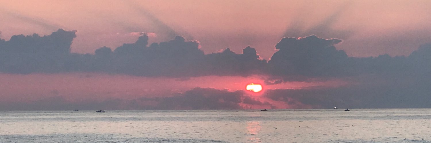 ourdigital's profile banner image
