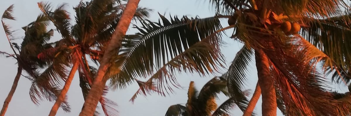 cbsch's profile banner image