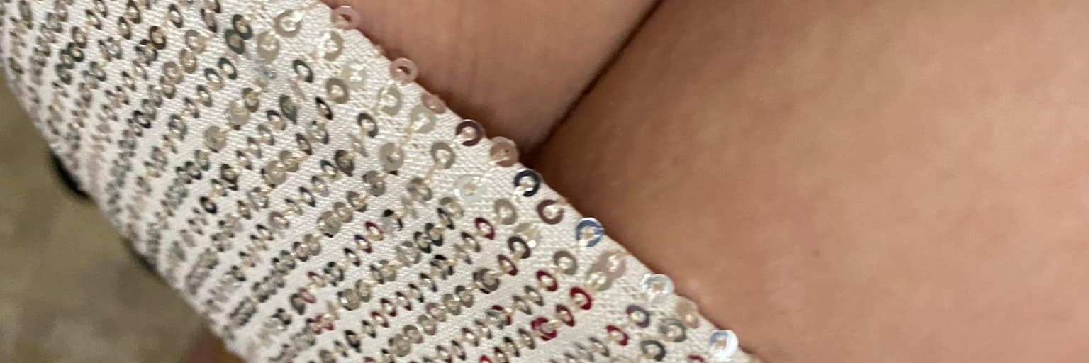 Southern BBW Princess banner