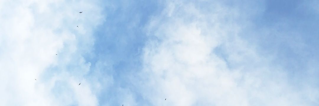 Luciaceldranf's profile banner image