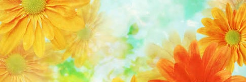miffy4777's profile banner image