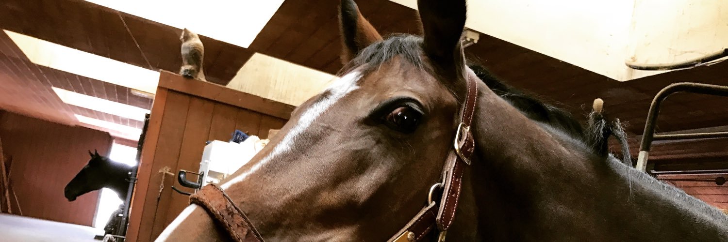 lisaslade's profile banner image