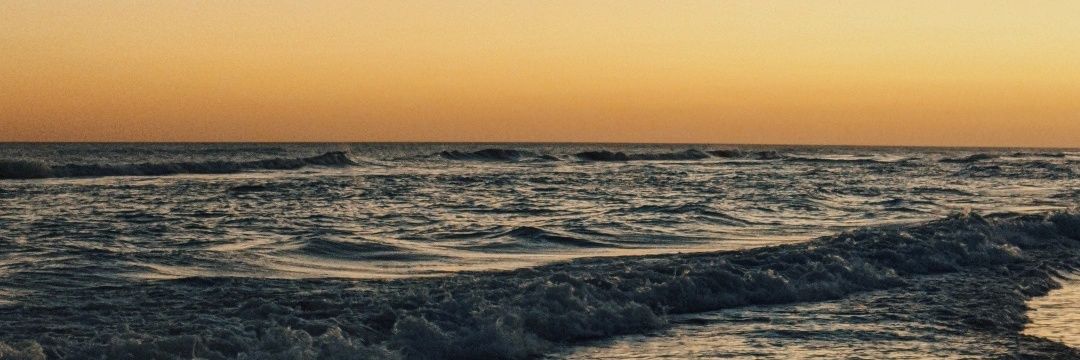 natuusolis's profile banner image