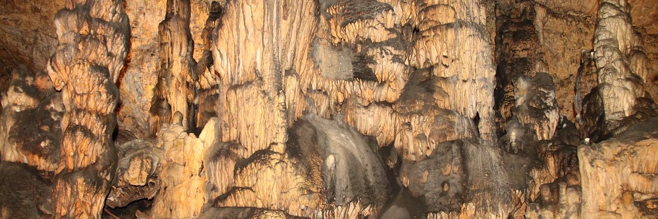 Jan van Meerten banner