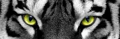 cheroman77's profile banner image