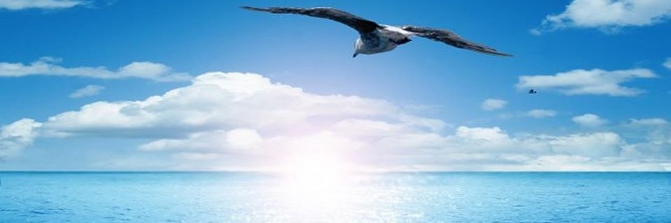 devrimadali35's profile banner image
