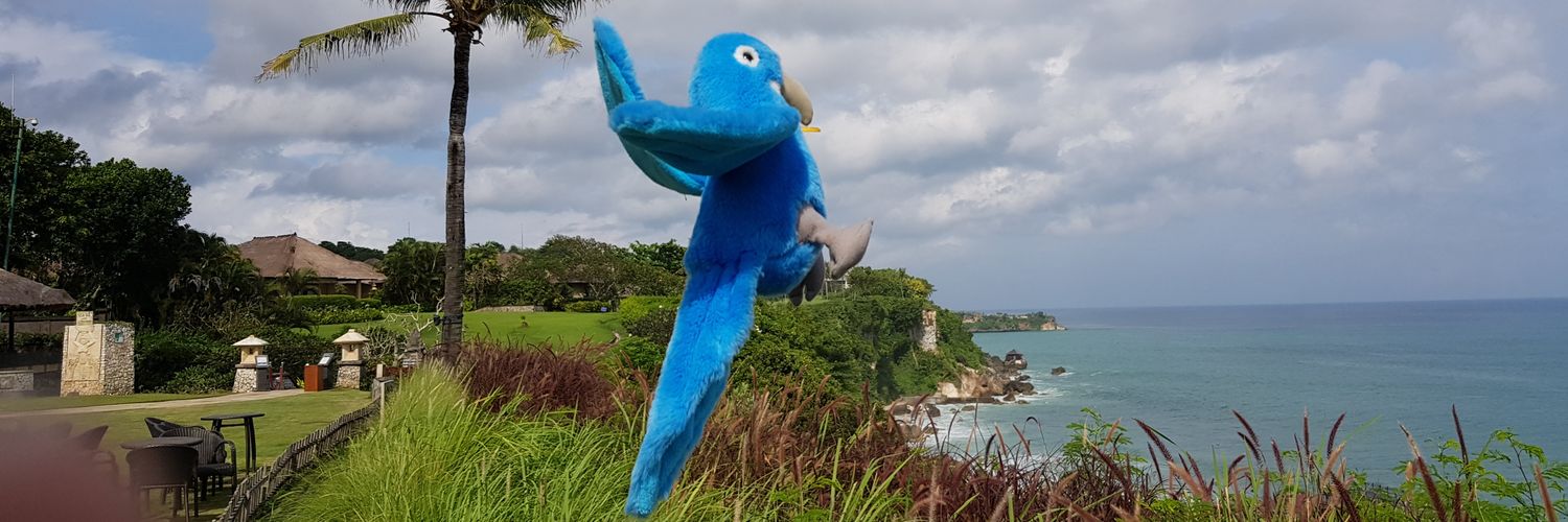 Johnny Johnny banner