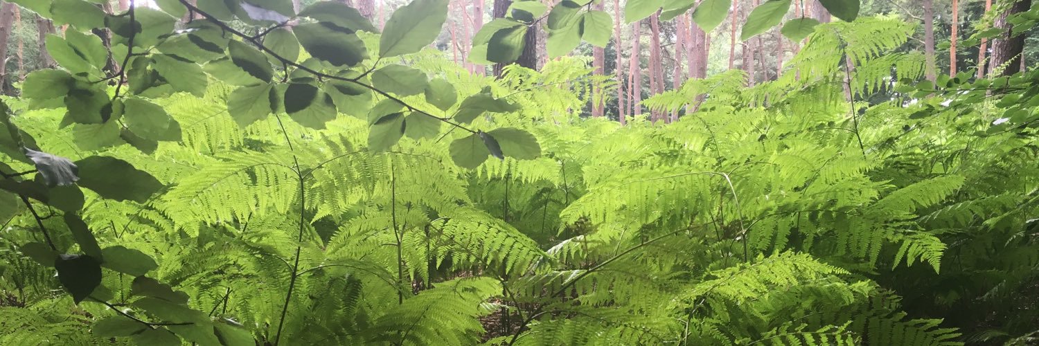HineHelene's profile banner image