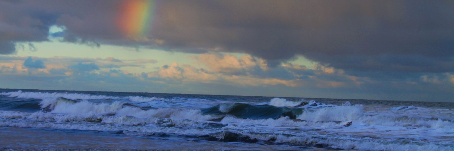 nanucabrera98's profile banner image