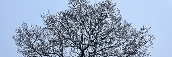 mike_critchley Profile Banner