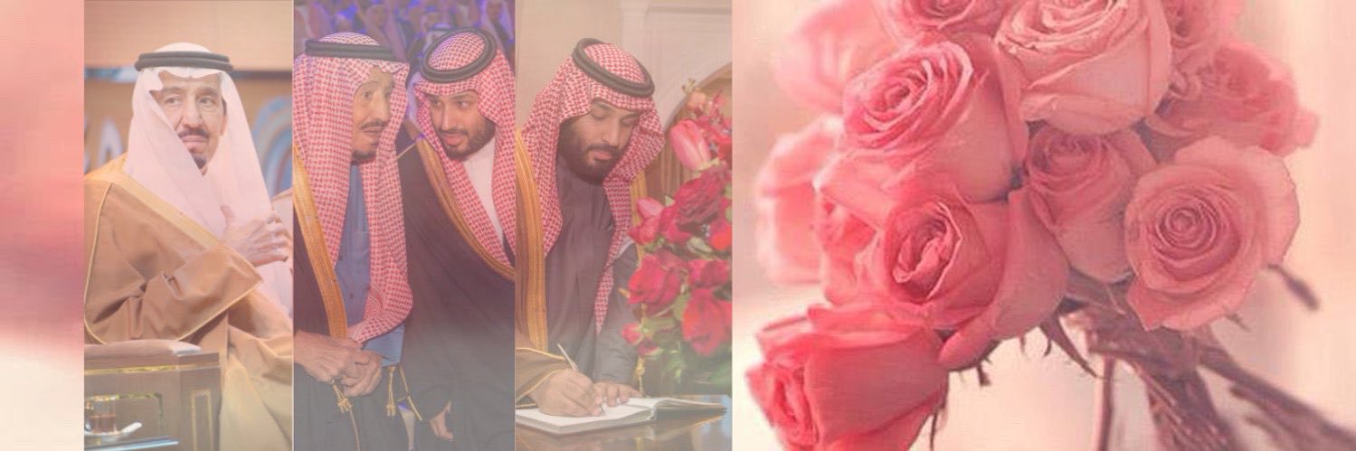 Rosy_353's profile banner image