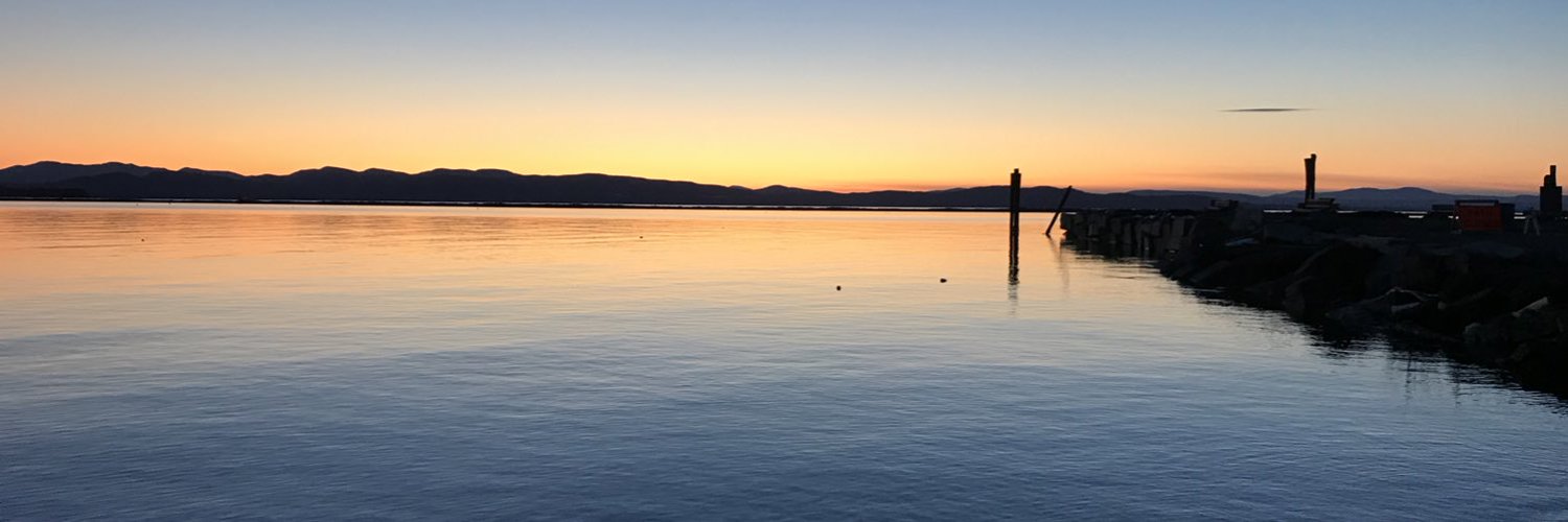 Nicole DeFeudis (Nicole_DeFeudis) / Twitter