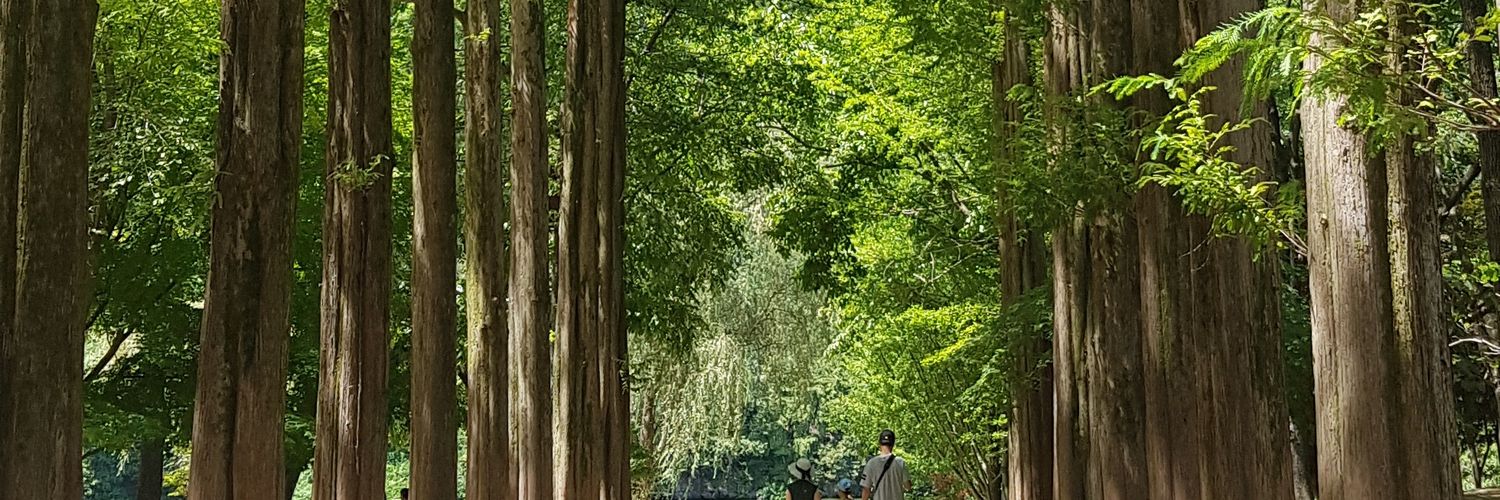 tiaranatal's profile banner image