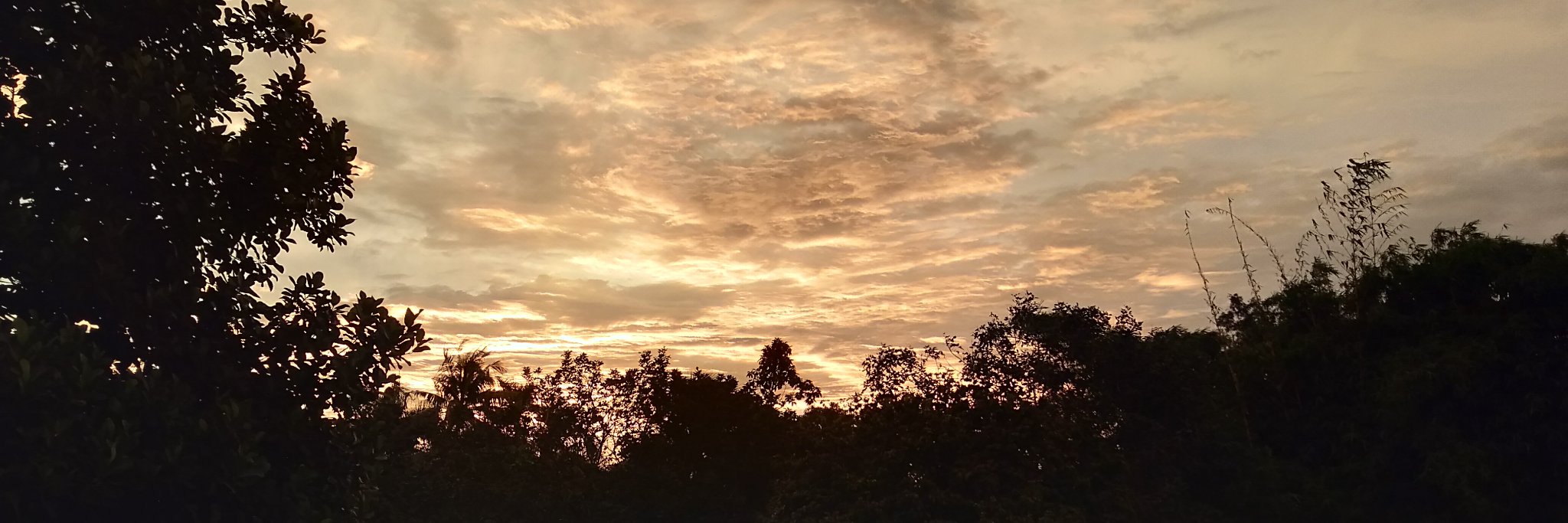 rureeeey's profile banner image