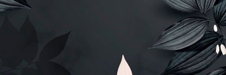lechampion_'s profile banner image