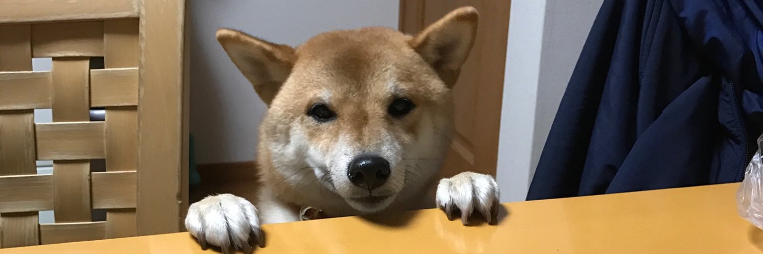 match_yu711's profile banner image