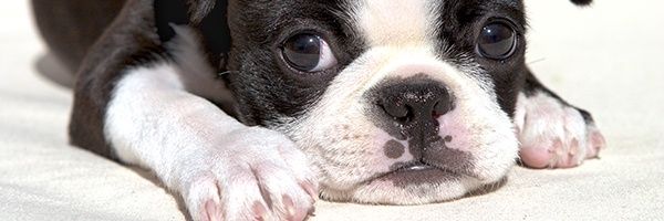 mamemam23's profile banner image
