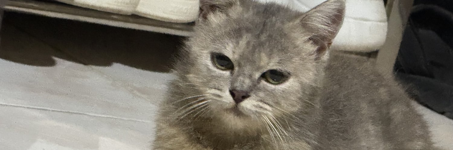 hisnumber2's profile banner image