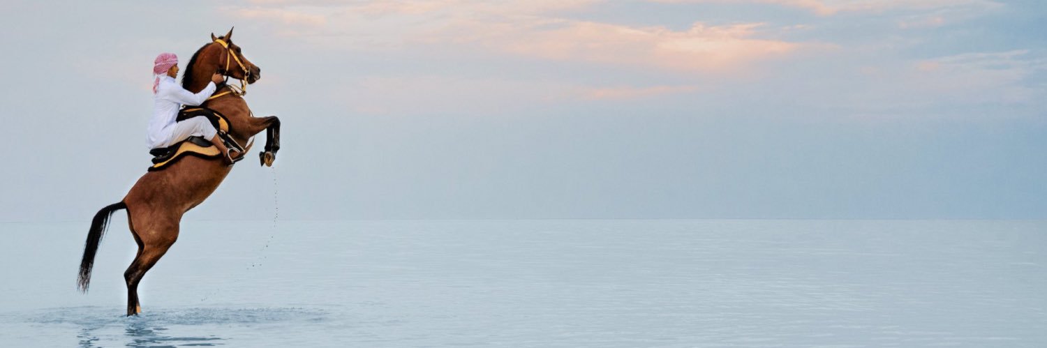 aleisaHamed's profile banner image