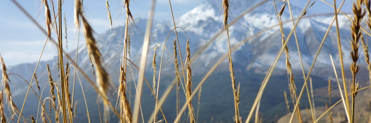 Adrian_Anonym's profile banner image