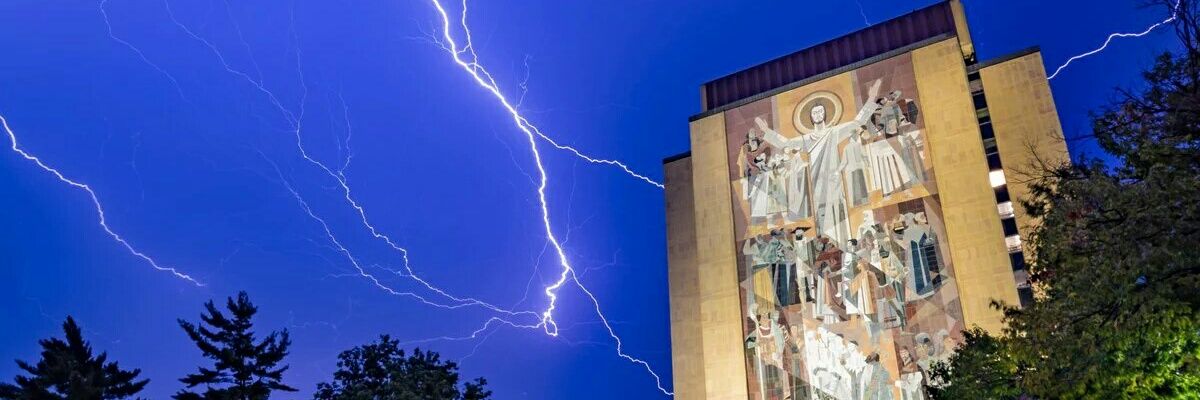 NDBird24's profile banner image