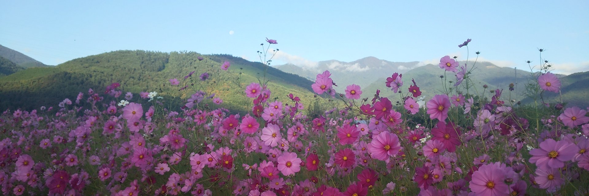 tamachi07's profile banner image