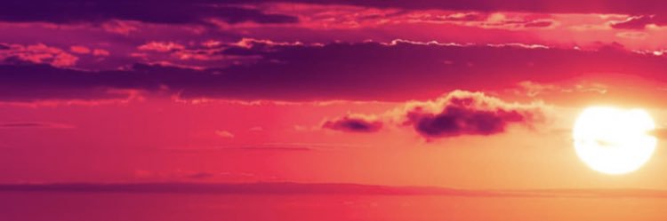 Olli 🇩🇪 banner