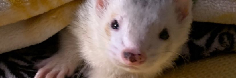 cmxrie's profile banner image