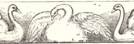 eylembektaas's profile banner image