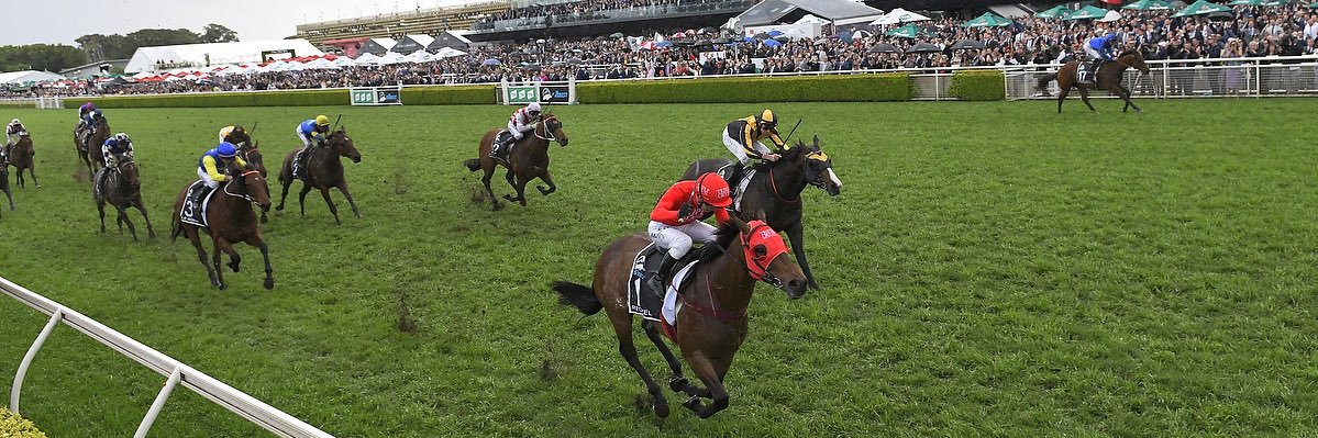 Young Professionals in Racing banner