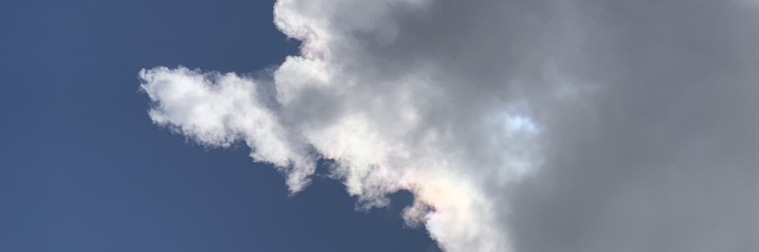 evapulidov's profile banner image