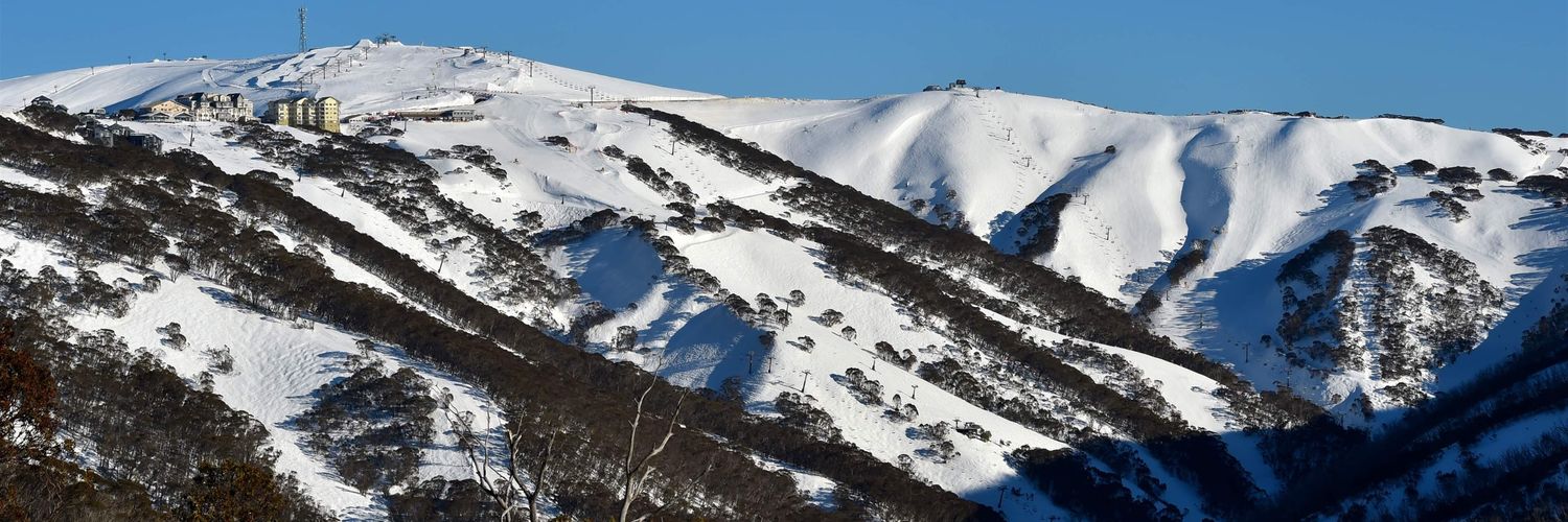 Hotham's banner