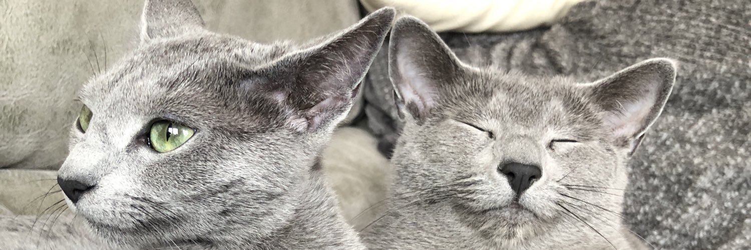 alexjubi84's profile banner image