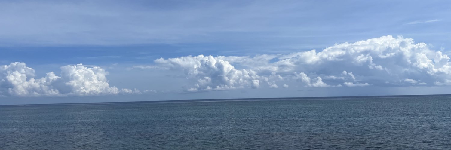 jazminlabrie's profile banner image