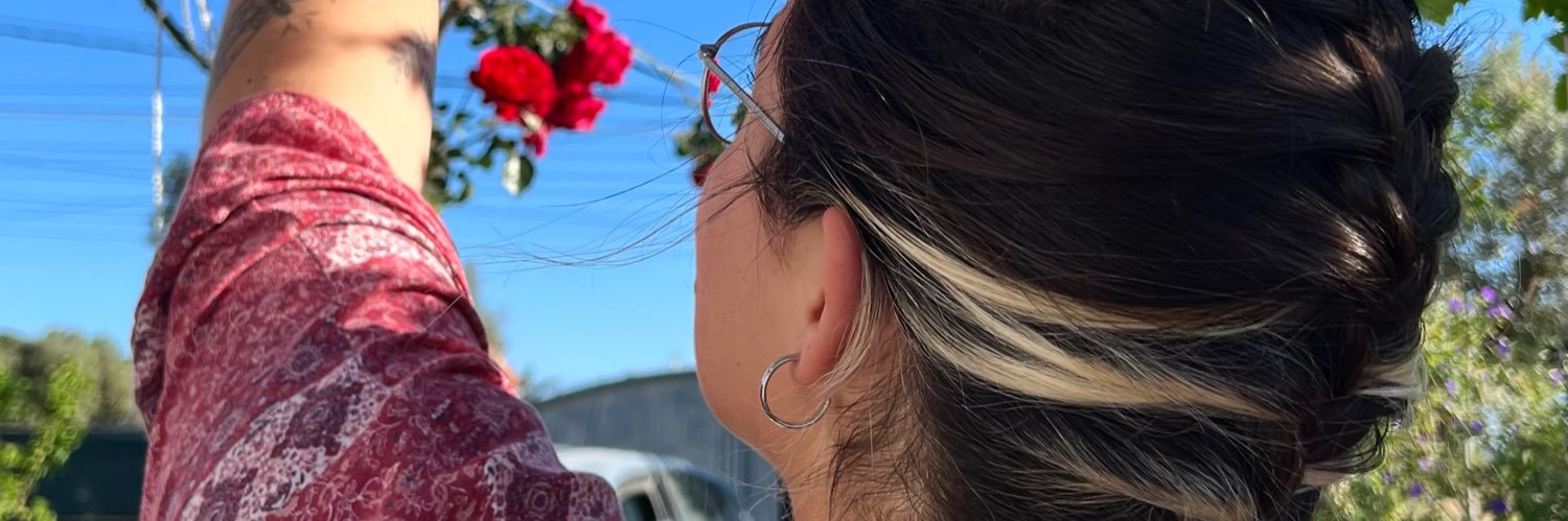 lahijadelgamba banner