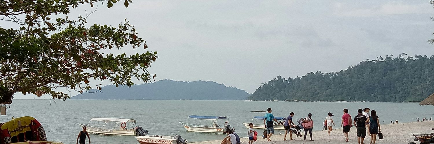 PingKokChong's profile banner image