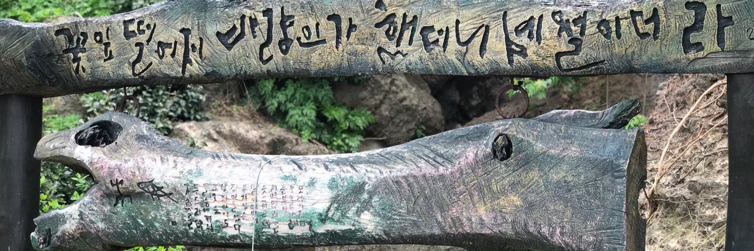 nazorronazorroo's profile banner image