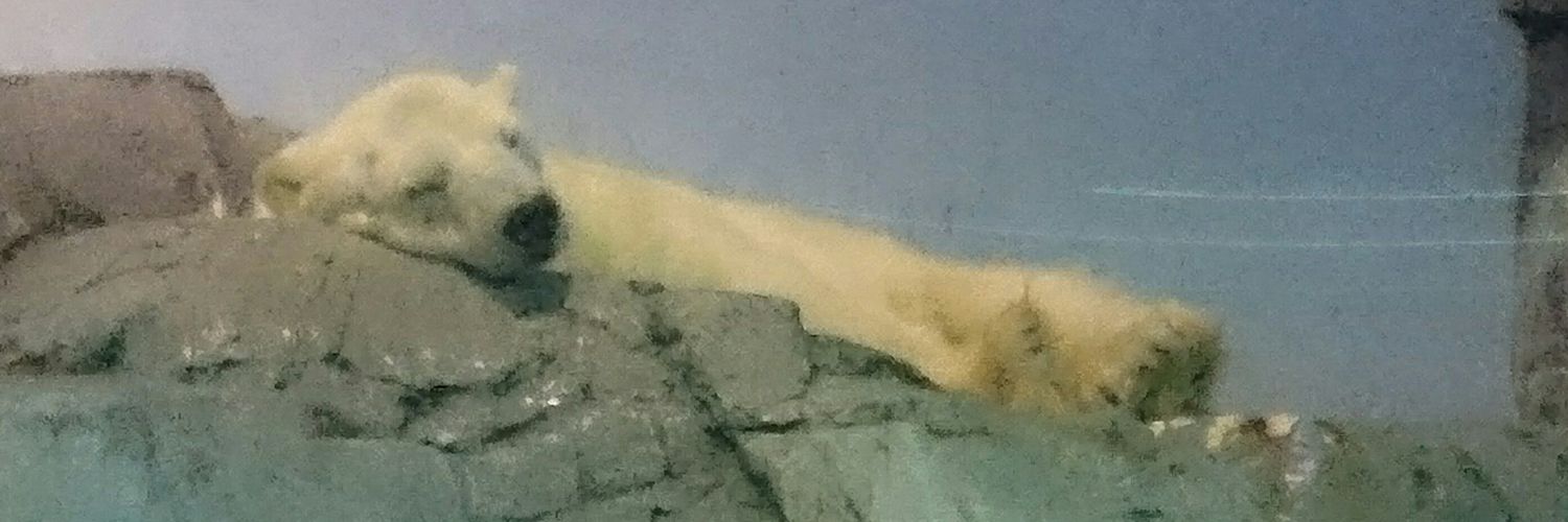 Mi_0x9's profile banner image