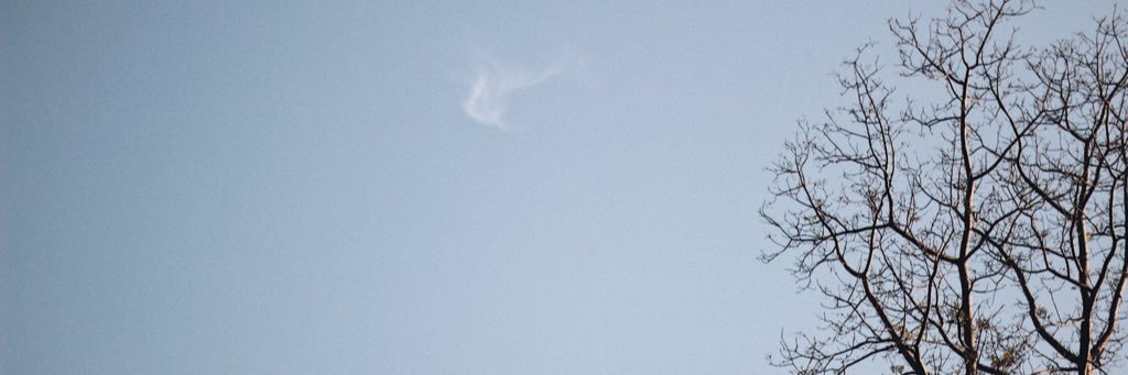 Muksuperbong's profile banner image