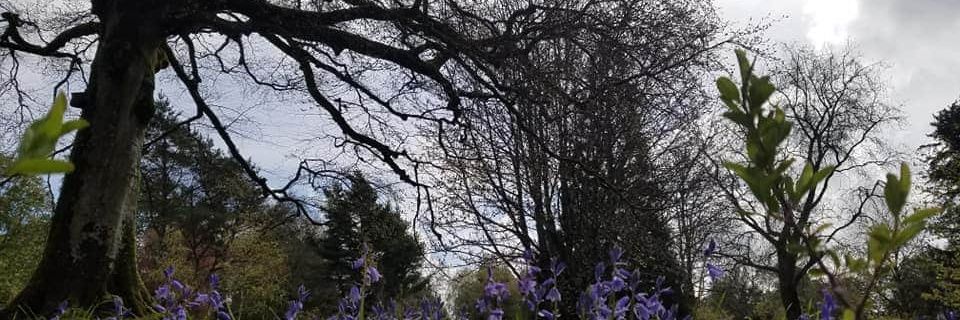 CandaceLSmith's profile banner image